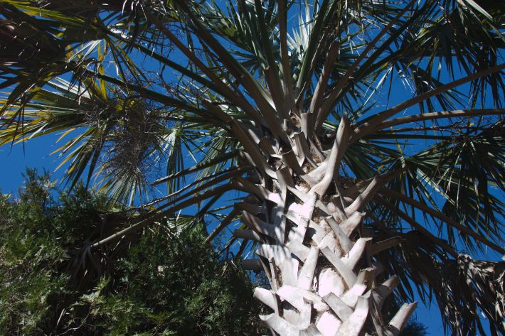 winter-roadtrip-2013-IMG_7759