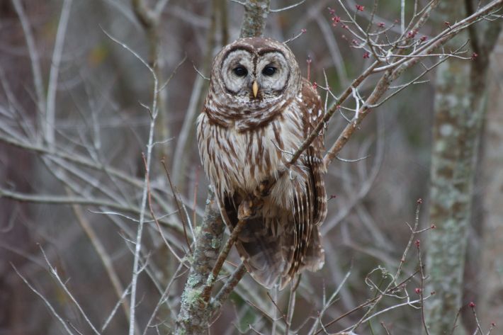 winter-roadtrip-2013-IMG_7808